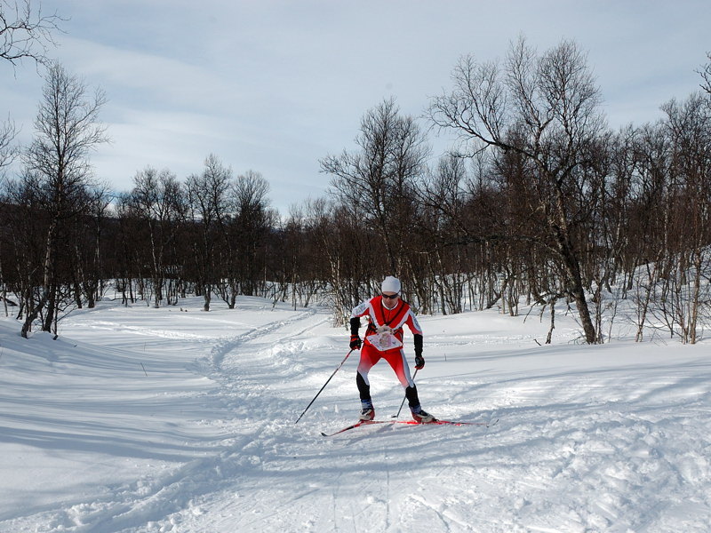 woc2011swe1.jpg, 149 KB