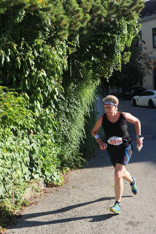 06 sarika.jpg, 98,5 KB